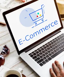 eCommerce Website Development Training Institute in Rewa